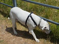 Raduno 4X4 26-07-2015 (40)